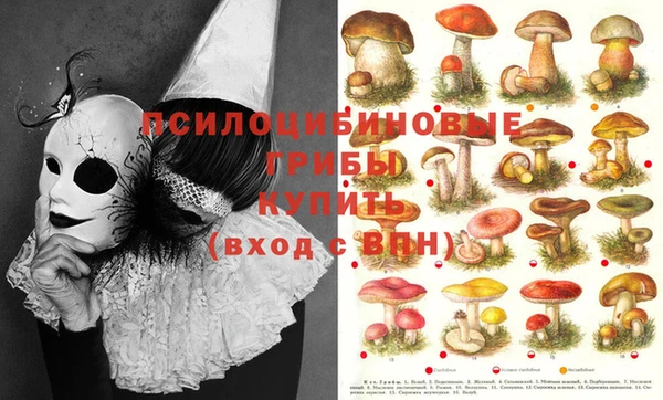 метадон Абаза